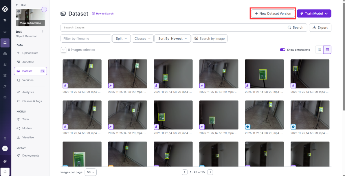 new_dataset_version